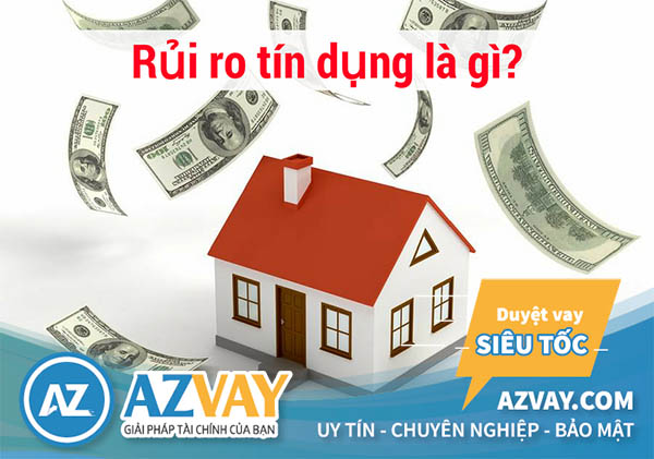 Rủi ro tín dụng là gì 