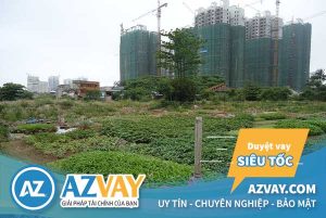Đất nông nghiệp là gì? Có chuyển đổi thành đất ở được không?
