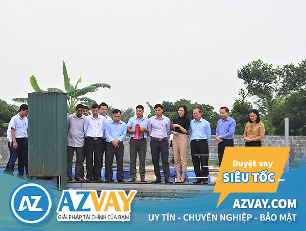 Nhiều hộ nông dân tại Việt Nam vay thế chấp nuôi trồng thủy sản