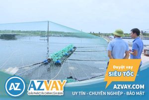 Vay thế chấp ngân hàng để nuôi trồng thủy sản: Điều kiện, thủ tục, lãi suất?