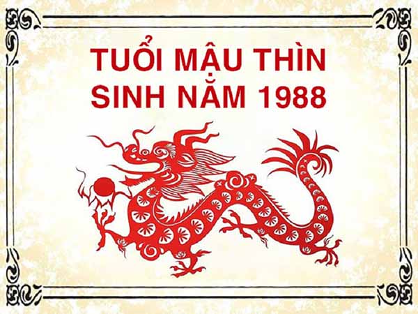 Đôi nét về người tuổi Mậu Thìn 1988